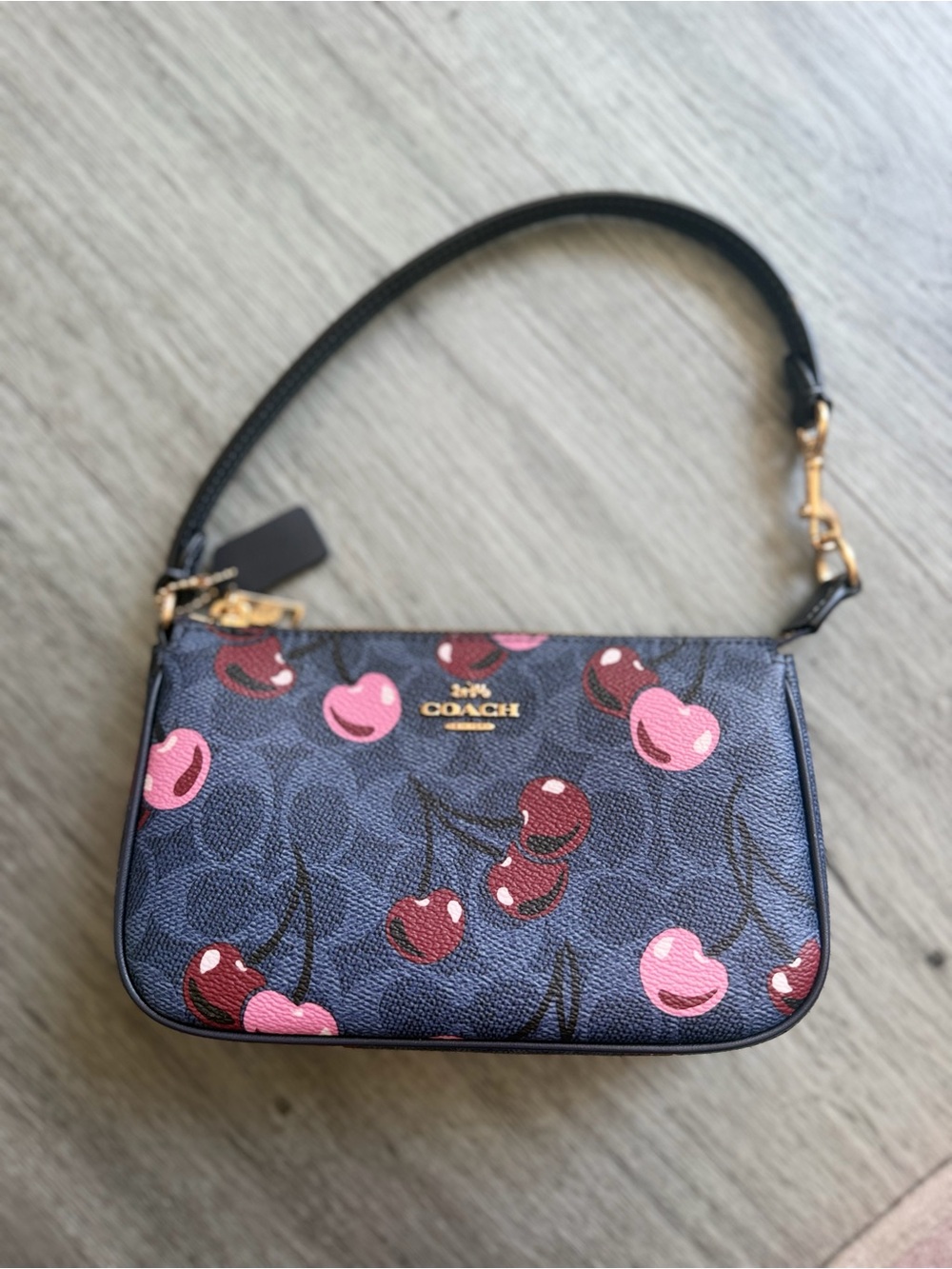 Coach NOLITA 19 SIG CHERRY